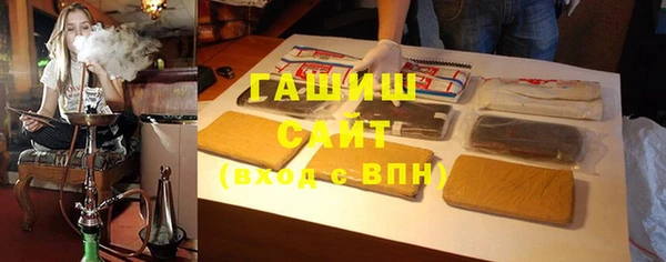 сатива Новозыбков