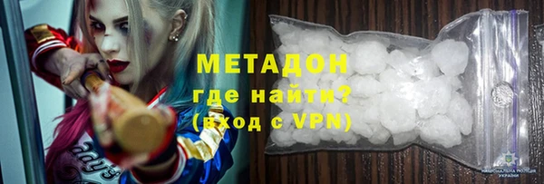 сатива Новозыбков