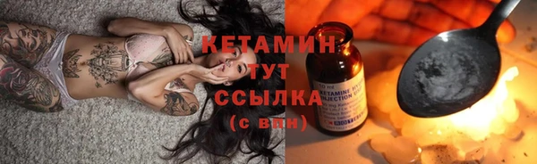 сатива Новозыбков