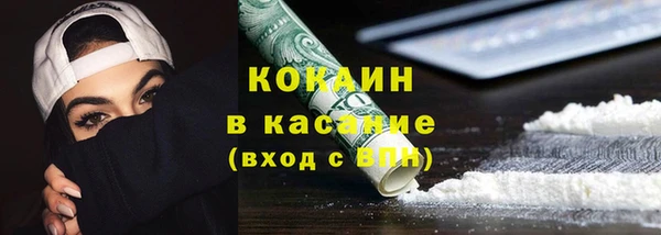 стафф Новодвинск