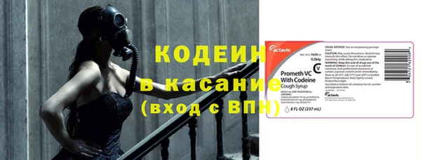 индика Новокубанск