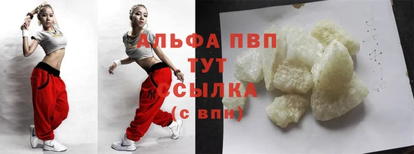сатива Новозыбков