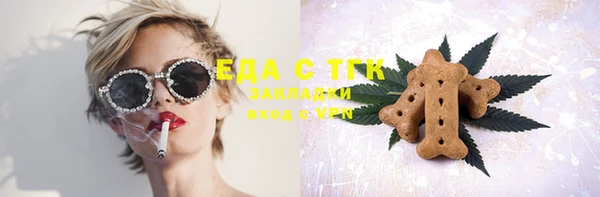сатива Новозыбков