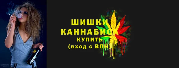 индика Новокубанск