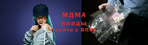 индика Новокубанск