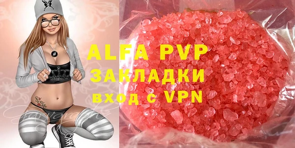 стафф Новодвинск