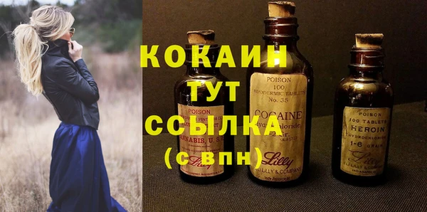 сатива Новозыбков