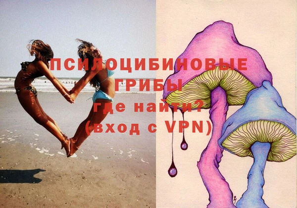 индика Новокубанск