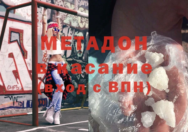 сатива Новозыбков