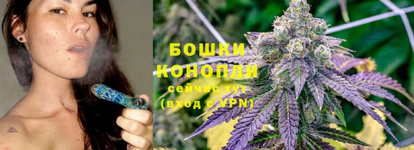 индика Новокубанск