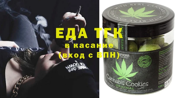 сатива Новозыбков