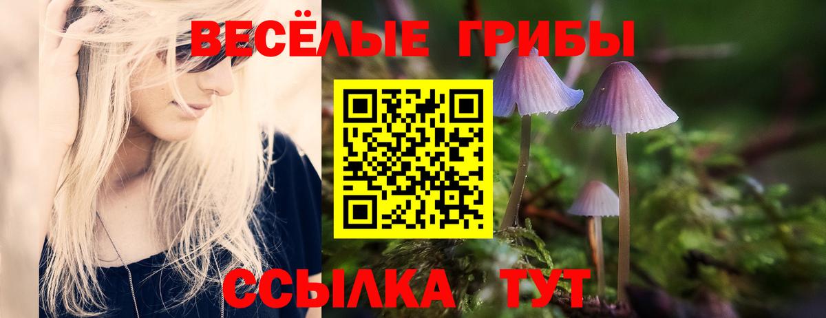 Псилоцибиновые грибы Psilocybe  Вход с VPN  Нефтекумск  купить закладку  Галлюциногенные грибы прущие грибы 