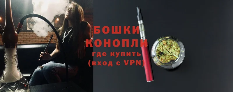 Бошки Шишки марихуана  где купить наркоту  Нефтекумск 